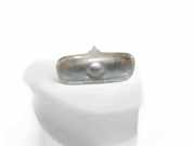 Blinkgeber Audi A6 Avant (4F, C6) 8E0949127