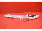 Airbag Dach links Tesla Model S (5YJS) 100526200D