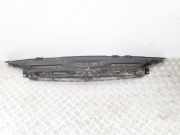 Zier-/Schutzleistensatz für Kühlergitter Mercedes-Benz Sprinter 3t Pritsche (903)