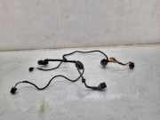 Türverkabelung hinten links VW PASSAT B5 (3B3) 1.9 TDI 4motion 1J0971913