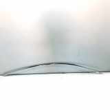 Rechte Dachleistenverkleidung TESLA MODEL 3 EV 1083520-00-C