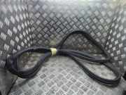 Türgummi rechts hinten Peugeot Traveller Bus (V)