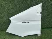 Kotflügel vorne links IVECO DAILY IV Flatbed 50C18 3800002