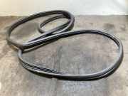 Türgummi links vorne Citroen Jumper III Kasten () CSAB249