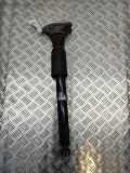 Stoßdämpfer hinten links BMW 3 (F30, F80) 320 d 6876756