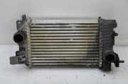 Ladeluftkühler Opel Meriva B () 13283253