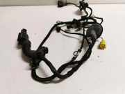 Kabel der vorderen linken Tür AUDI A5 (8T3) 2.0 TFSI 8T0971029AB