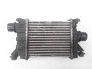 Ladeluftkühler NISSAN ALMERA II Hatchback (N16) 1.5 dCi