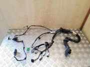 Kabel Tür vorne rechts LAND ROVER RANGE ROVER SPORT (L320) 3.6 D 4x4 YMM503240A
