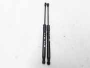 Heckklappe Gasdruckfeder rechts RENAULT TWINGO II (CN0_) 1.2 (CN0D) 8200385560