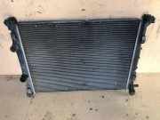 Kühlkörper RENAULT MEGANE II Sedan (LM0/1_) 1.9 dCi (LM0G, LM1G, LM2C) 8200117609