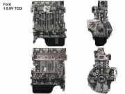 Motor ohne Anbauteile (Diesel) Ford Kuga () XWMA
