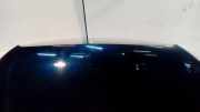Motorhaube Hyundai Santa Fe II (CM)