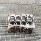 Motorblock Dacia Sandero II (SD) 110108501R