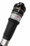 Gasdruckfeder Audi A6 Allroad (4F) 4F0616039AA