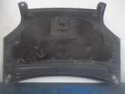 Motorhaube Ford Fusion (JU)