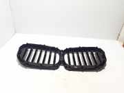 Kühlergrill oben BMW X5 (G05, F95) 5A67CC6