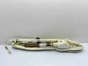 SRS Modul Dach links AUDI A7 Sportback (4GA, 4GF) 3.0 TDI quattro 4G8880741B