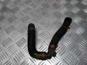 Schlauch Kühlung RENAULT TRAFIC II Furgon (FL) 2.0 dCi 115 (FL01, FL0U) 922440