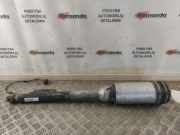Rear right pneumo shock absorber MERCEDES-BENZ S (W220) S 320 CDI (220.025, 220.125) 2203201213