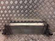 Ladeluftkühler Mercedes-Benz R-Klasse (W251) 2515000000