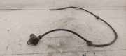 KABELBAUM LEITUNGSSATZ ABS-SENSOR HINTEN AUDI A4 Cabrio (8H7, B6, 8HE, B7) 2.5 TDI