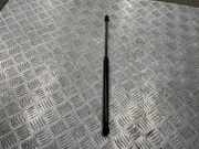 Heckklappe Gasdruckfeder links MERCEDES-BENZ C (W202) C 220 D (202.121) 2029800364