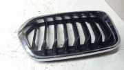Gitter Grill vorne links BMW X2 (F39) X2 xDrive20d 7424777B
