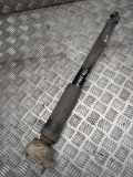 Stoßdämpfer hinten links MERCEDES-BENZ E Cabrio (A207) E 220 BlueTEC (207.401) A2073202530