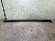 Zierleiste Windschutzscheibe Frontscheibe BMW X1 (U11) BMW X1 (U11) sDrive 18 d 51319478897