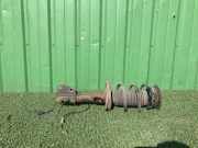 Stoßdämpfer vorne links