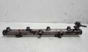 KRAFTSTOFFVERTEILER EINSPRITZLEISTE VERTEILERROHR AUDI A8 D3 (4E2, 4E8) 4.2 TDI quattro