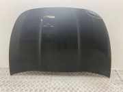 Motorhaube CITROËN DS5 2.0 HDi 165