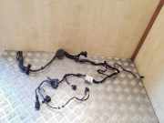 Kabel Tür Audi A8 (4H) 4H0971030HQ