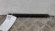 Heckklappe Gasdruckfeder links BMW 3 (G20, G28) 3 (G20) 320 d 7450612