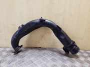 Andere Röhren RENAULT GRAND SCÉNIC III (JZ0/1_) 1.5 dCi 8200645723