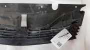Gitter Grill vorne links RENAULT LAGUNA II (BG0/1_) 1.9 dCi (BG08, BG0G) 8200012581