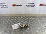 Türscharnier hinten rechts Ford EcoSport () BB537826801AM