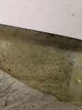 Dachverkleidung BMW 5 Touring (E39) 530 d 8186811