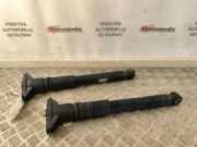 Stoßdämpfer hinten links CITROËN C4 X (BD_, BE_, BF_) ë-C4 X (BFZKXC) 9841379480