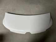 Motorhaube RENAULT MASTER III Furgon (FV) 2.3 dCi 100 [RWD] (FV0B, FV0C, FV0D) 656169152r