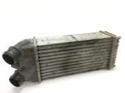 Ladeluftkühler PEUGEOT PARTNER Furgon (5) 1.9 D 874964GJ