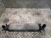 Ladeluftkühler Mercedes-Benz B-Klasse Sports Tourer (W246, W242) 2465000100