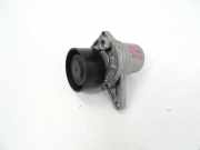 Umlenkrolle für Keilrippenriemen Nissan Qashqai II (J11) 117505337R