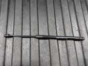 Gasfeder für Motorhaube Volvo S90 II (234) 31479642