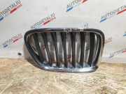 Vorderer oberer Gitter BMW X1 (E84) sDrive 18 d 2993306 2993308