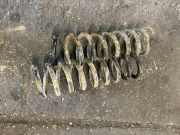 Fahrwerksfeder vorne rechts MERCEDES-BENZ E (W210) E 270 CDI (210.016)