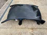 Dach AUDI A4 (8W2, B9) 2.0 TDI quattro