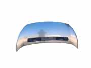 Motorhaube PEUGEOT EXPERT Furgon (VF3A_, VF3U_, VF3X_) 2.0 HDi 120