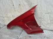 Kotflügel vorne links